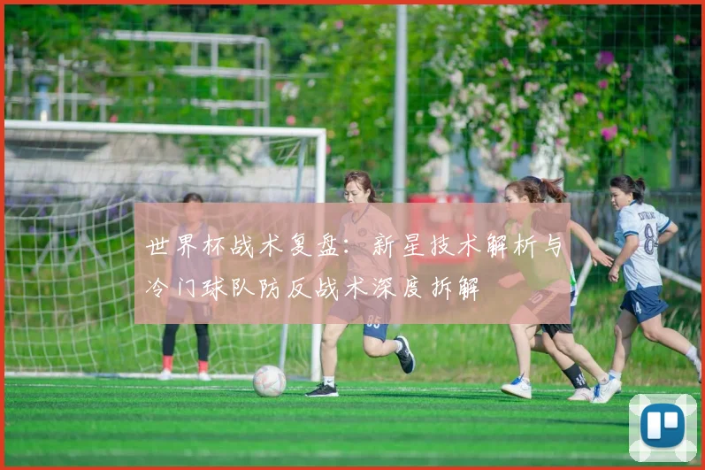 世界杯战术复盘：新星技术解析与冷门球队防反战术深度拆解